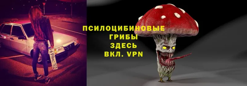 Галлюциногенные грибы Magic Shrooms  MEGA рабочий сайт  Вуктыл  закладка 